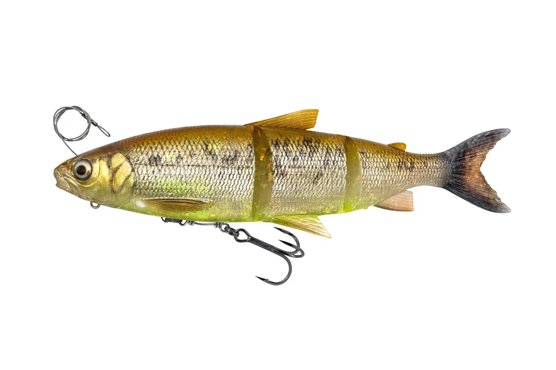 charliesfishing408973