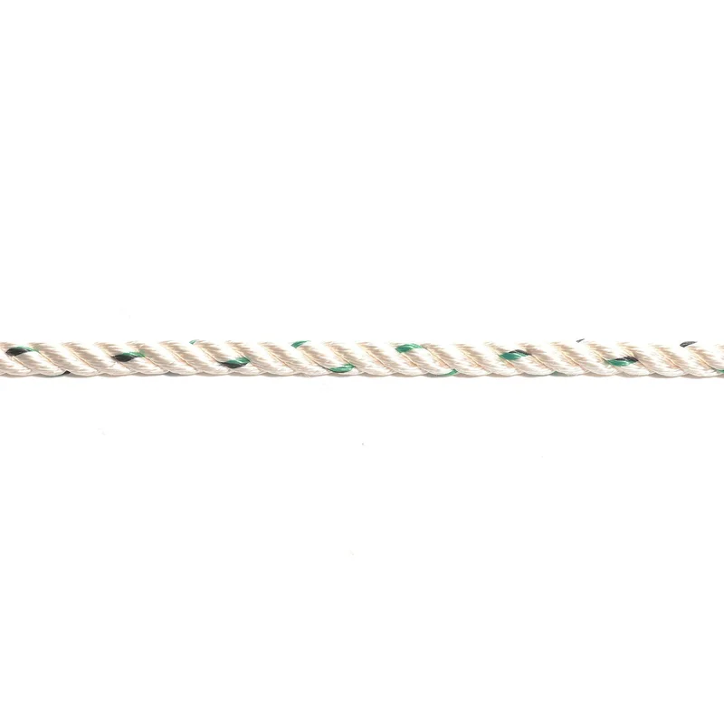 compass24481045