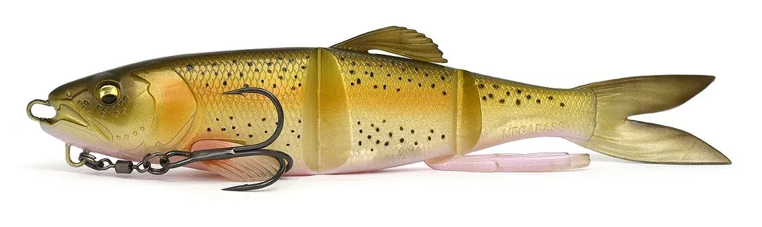 franz-geht-fischen370348