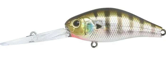 franz-geht-fischen376168