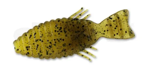 franz-geht-fischen376261