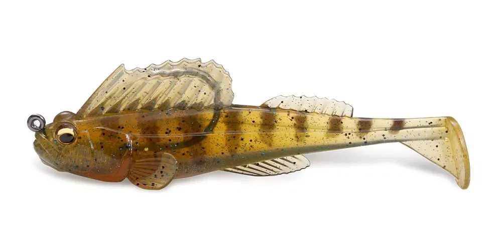 franz-geht-fischen377578