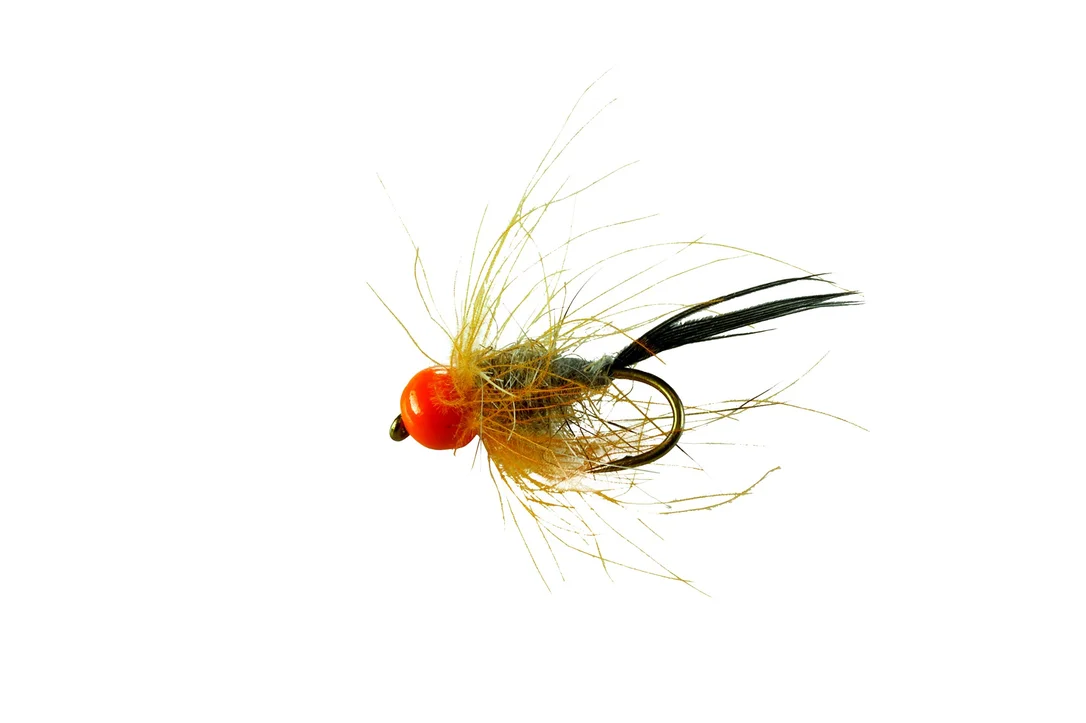 funfish378400