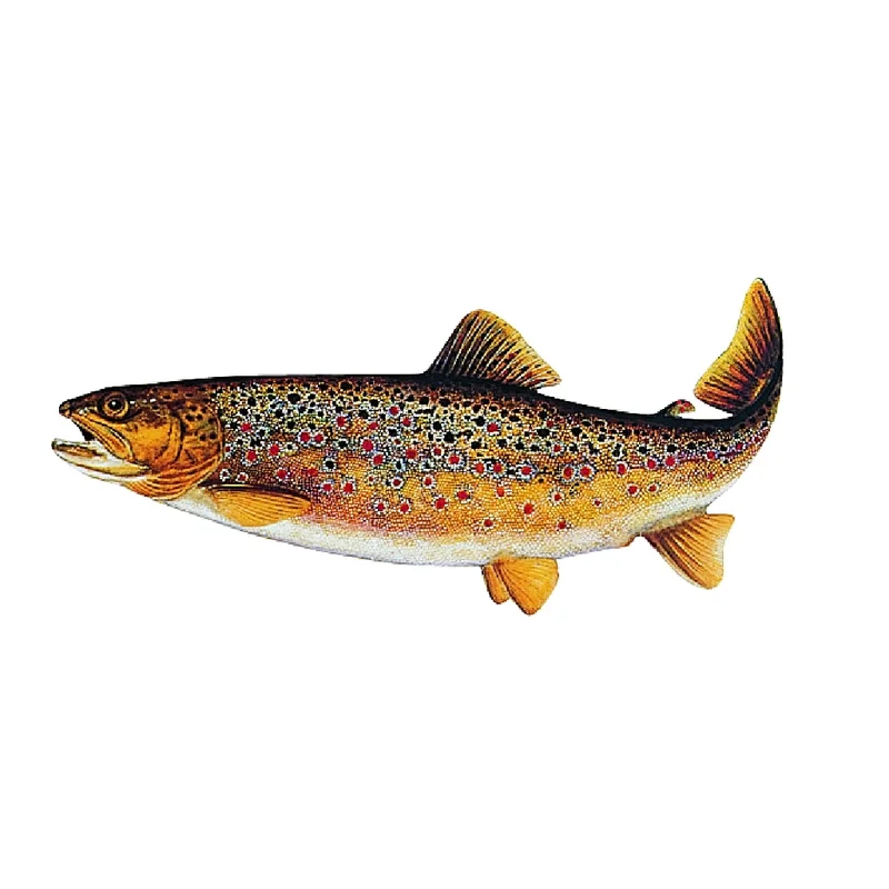 funfish386423