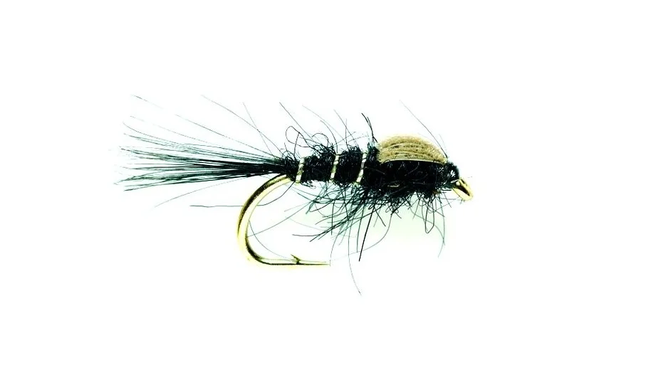 funfish403559