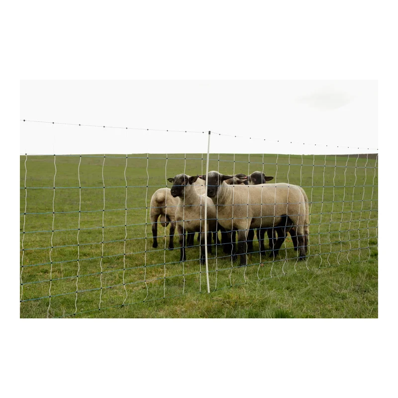 hauptner-jagd385255