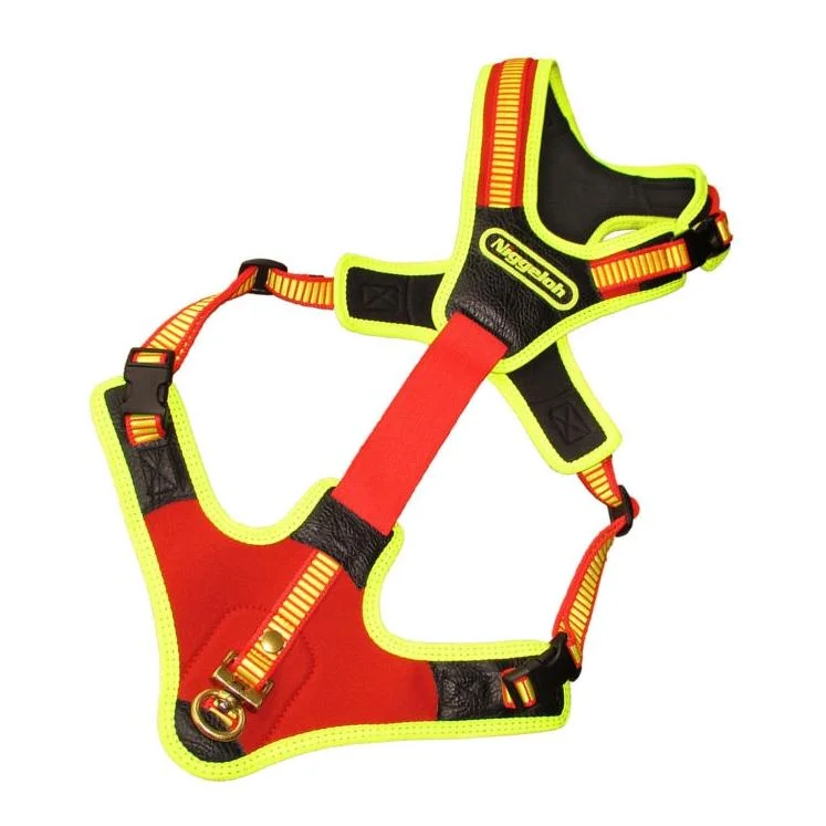 hauptner-jagd393459