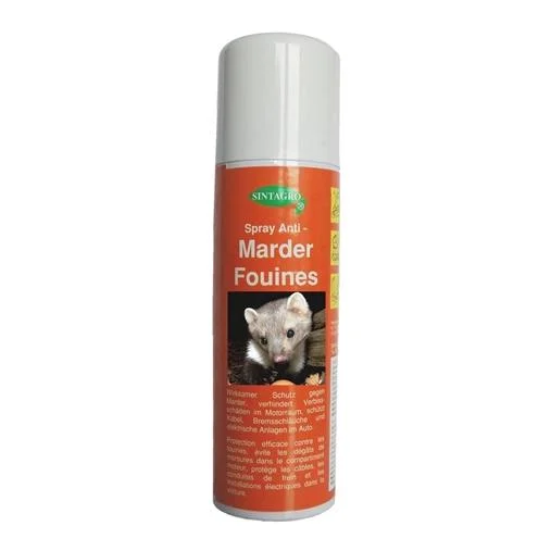 hauptner-jagd398709