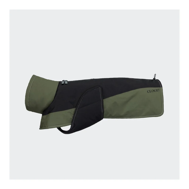 hauptner-jagd439740
