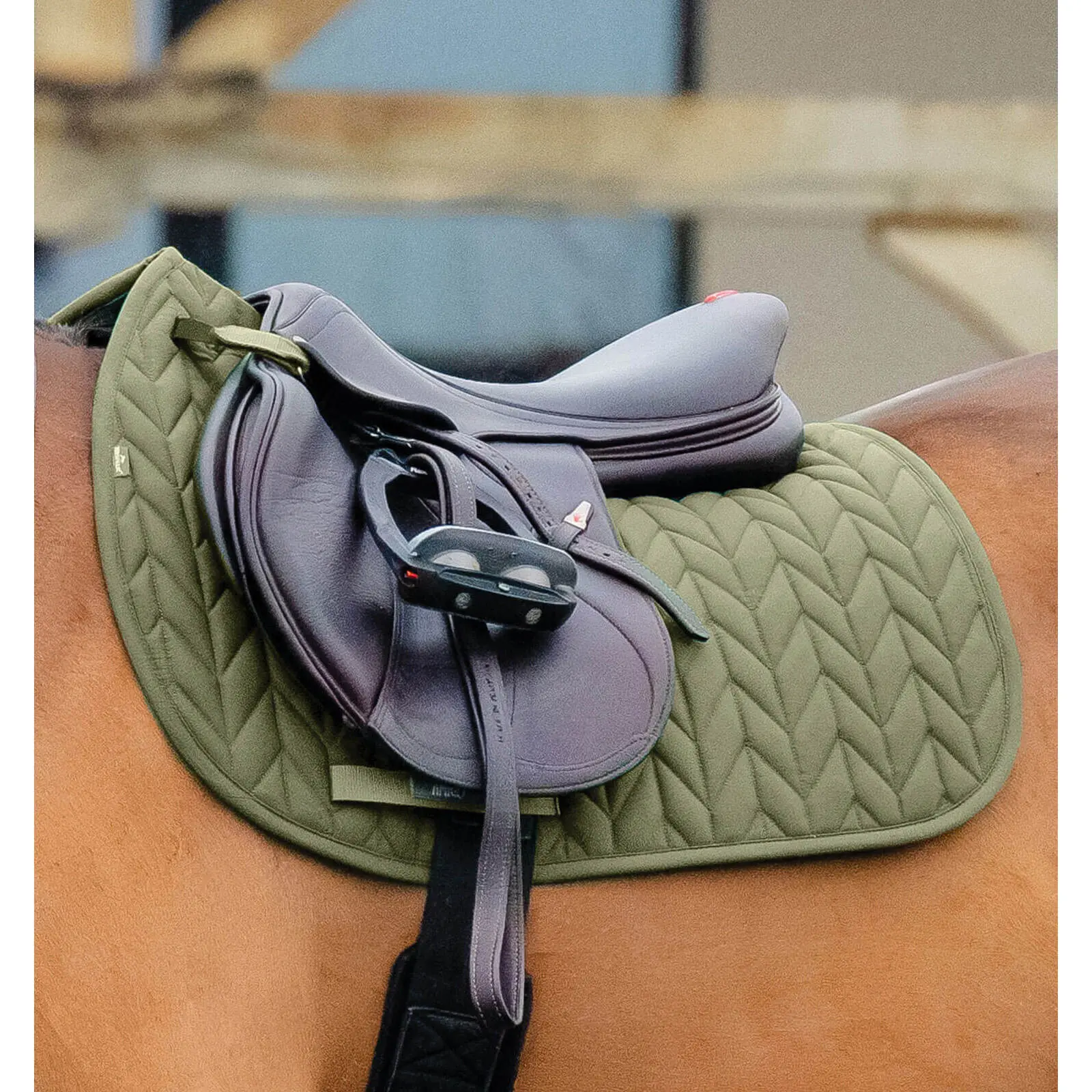 sportisgood1843147