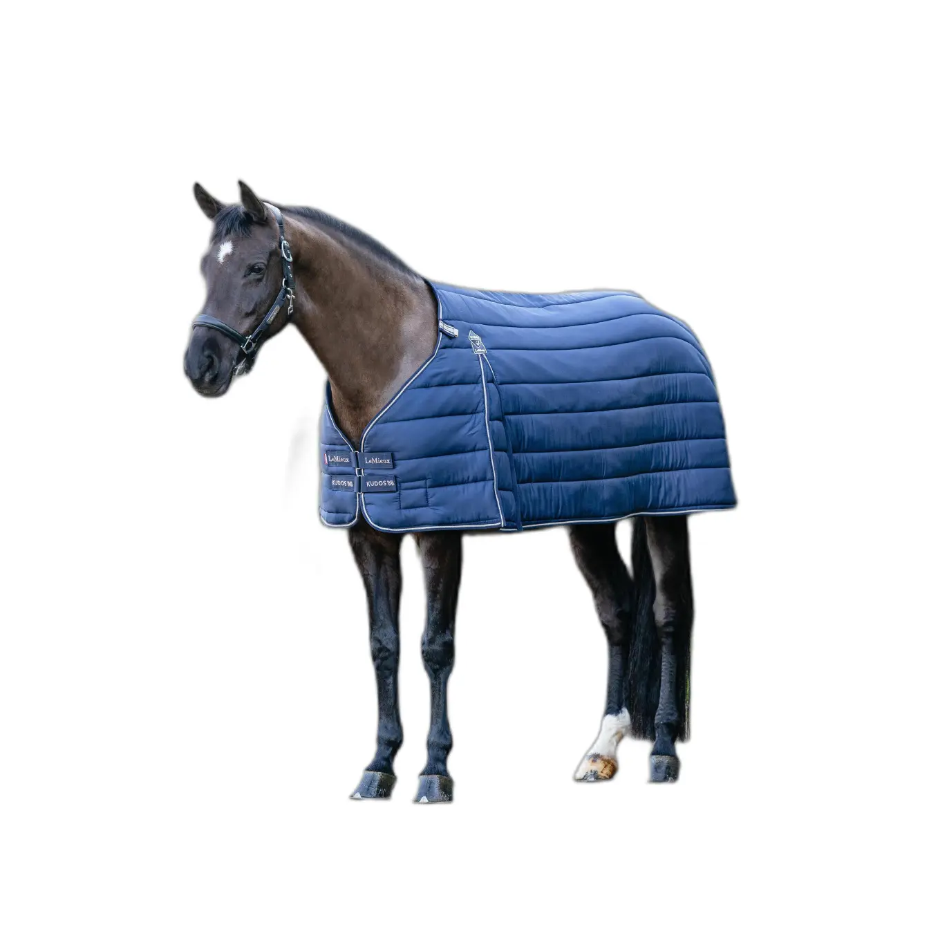 sportisgood415169