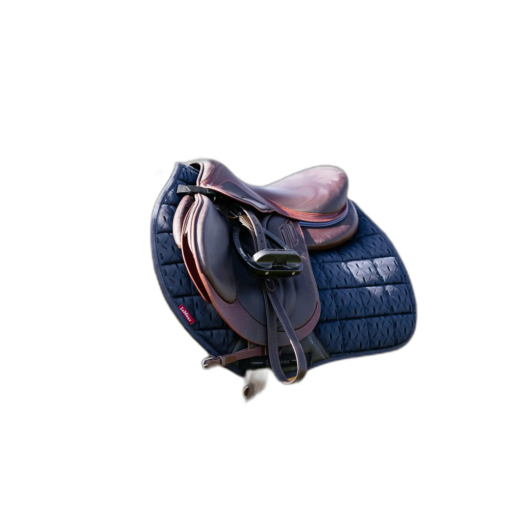sportisgood422407
