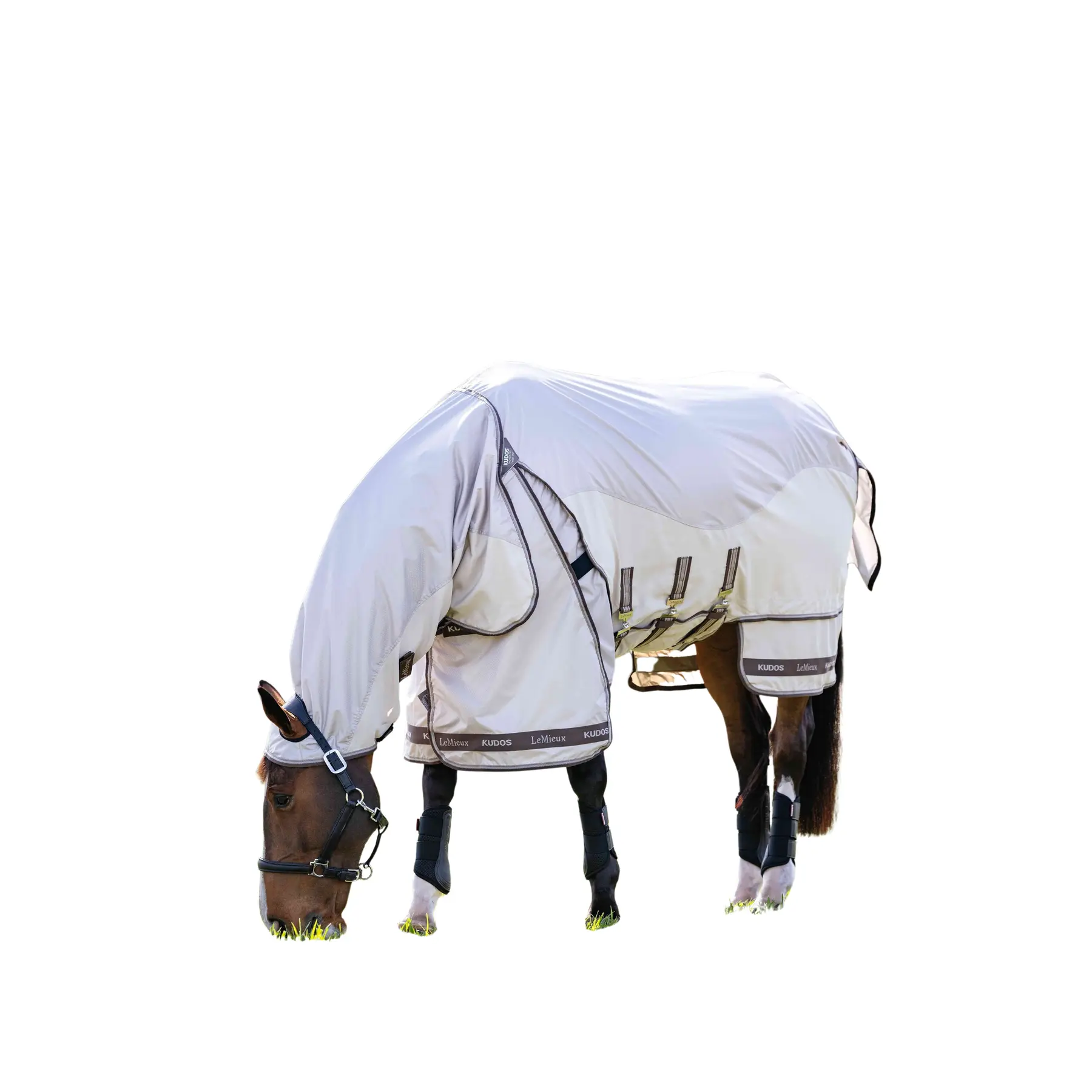 sportisgood525292