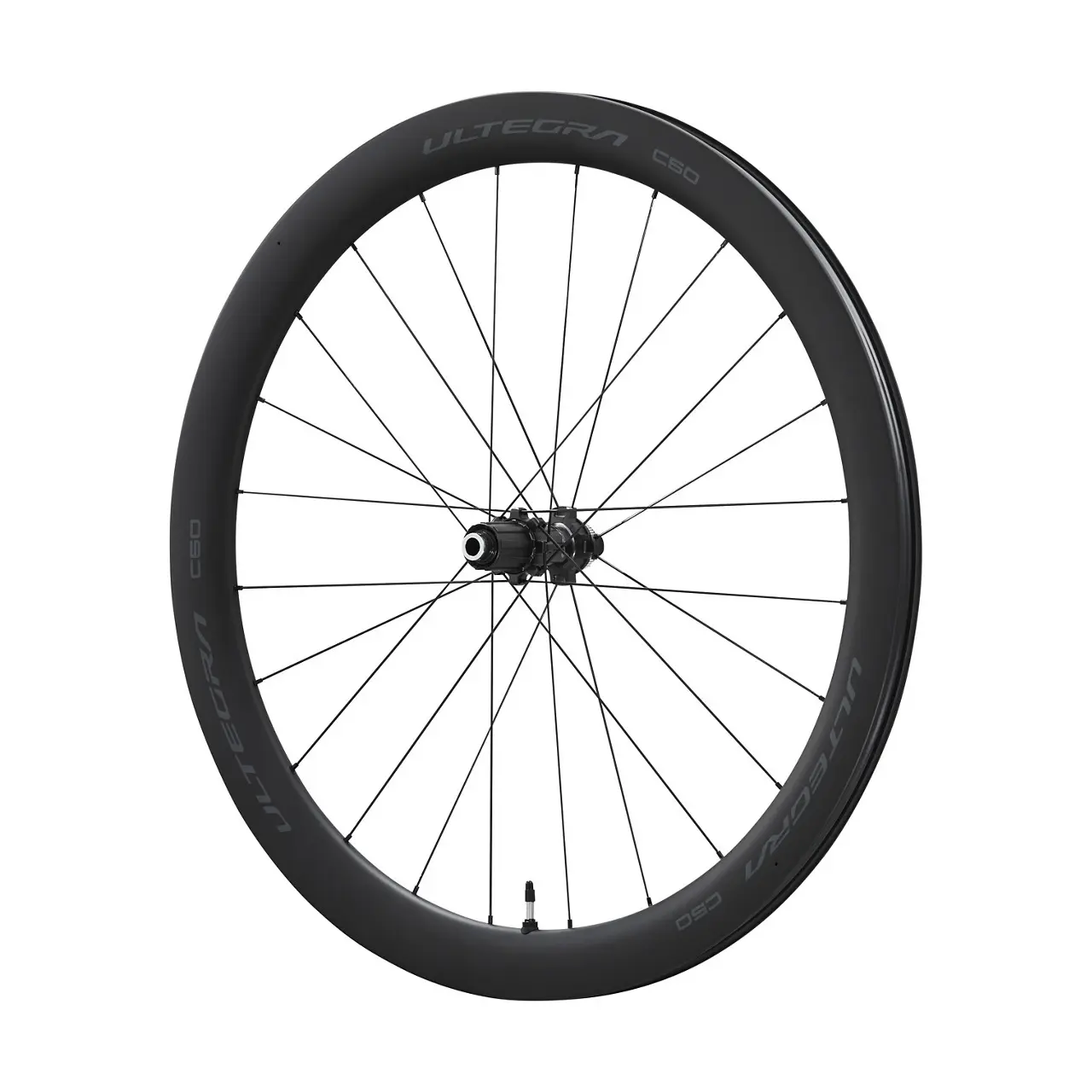 sportisgood782091