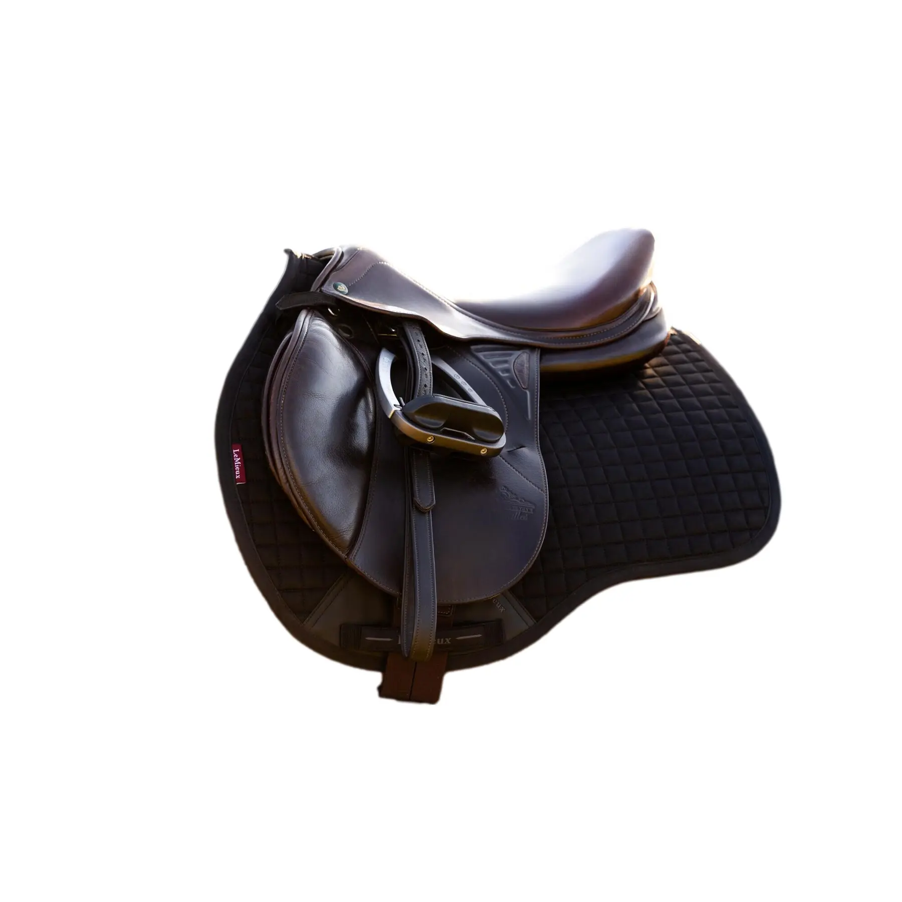 sportisgood806308