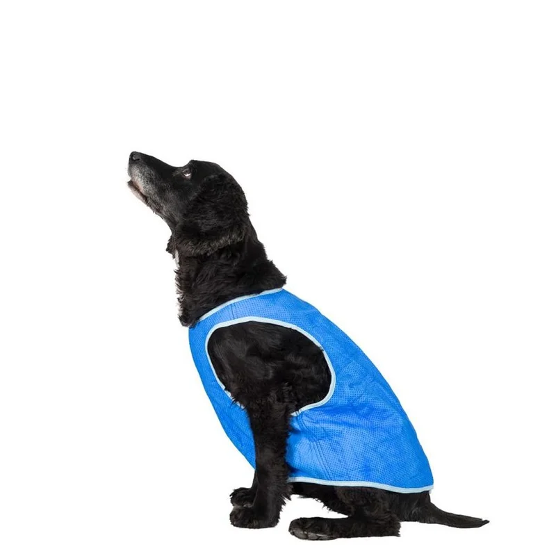 surfdeal486227