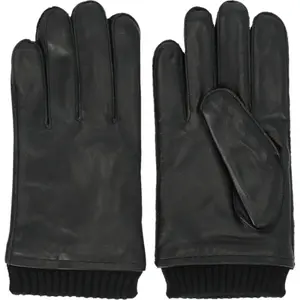 trek-expert-1557129