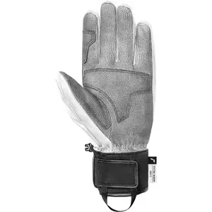 trek-expert644024